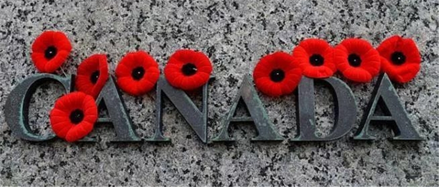 Canada Remembrance Day - Cestar High School